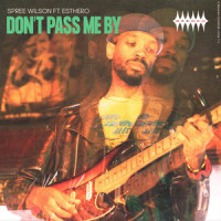 Don't Pass Me By(feat. Esthero)_Spree Wilson,Esthero