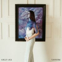 Just Like You_Kaeley Jade,Julian Taylor