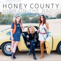 Ain't No Party_Honey County