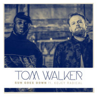 Sun Goes Down_Tom Walker,Kojey Radical