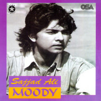 Aisa Laga_Sajjad Ali