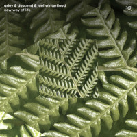 New Way Of Life_Arley,Descend,Joel Winterflood