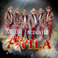 Modo Incógnito_Los Avila