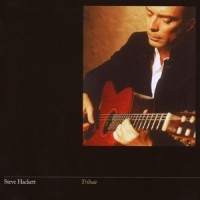 Tribute To Bach, BWV 999: Prelude In C Minor_Steve Hackett