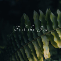 Acheless Joy_Feel the Joy,Quiet Piano