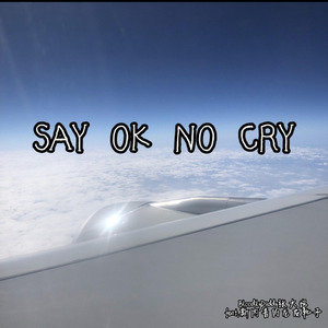 SAY OK NO CRY