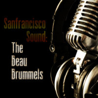 Ain't That Loving You Baby_The Beau Brummels
