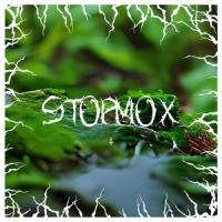 STOPМОХ_Рассказчик,Alexander Borodin,BigBroBeats
