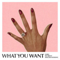 What You Want_SNBRN,DR. FRESCH,Malcolm Anthony