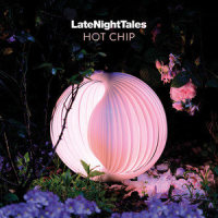None of These Things_Hot Chip,Alexis Taylor,Joe Goddard,Felix Martin,Alexander Doyle