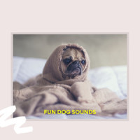 Calming Music_Piano Peace,Pet Music Therapy,Pets Love Music