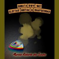 Sonata No. 1 in G major for electric guitar & harpsichord, BWV 1027: Andante_Marcos Roberto dos Santos,Johann Sebastian Bach