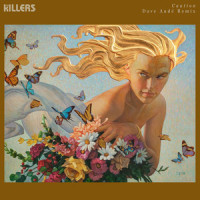 Caution_The Killers,Dave Audé