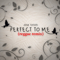 Perfect to Me Reggae Remix_Josh Tatofi