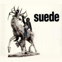 High Rising_Suede