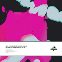 Never Gonna Give You Up_F3d3 B,Xander Ace,Alyssa Raghu,Rick Astley,Barry White