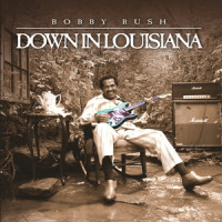 Rock This House_Bobby Rush,Paul Brown,L. Rodriguez