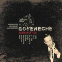 Intimas_Roberto Goyeneche