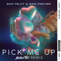 Pick Me Up_Sam Feldt,Sam Fischer,Billen Ted