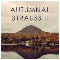 J. Strauss II: Persischer Marsch, Op. 289 (ペルシャ行進曲 作品289|ペルシャコウシンキョク)_Berliner Philharmoniker,Herbert von Karajan