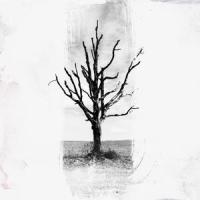 In The Middle Of It All_Evan Bartels