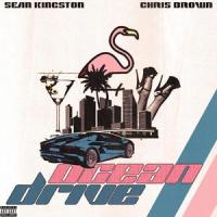 Ocean Drive_Sean Kingston,Chris Brown