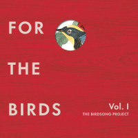 Wounded Bird_Kurt Vile