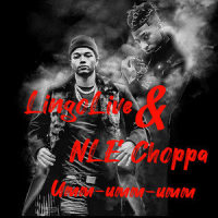 Umm-Umm-Umm_LingoLive,NLE Choppa