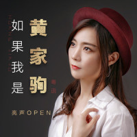 如果我是黄家驹_亮声open