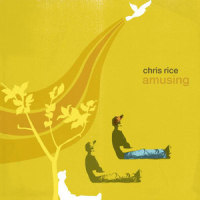 When Did You Fall_Chris Rice