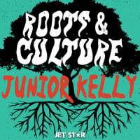 What Would It Take_Junior Kelly