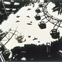 Hello_Plastic Tree
