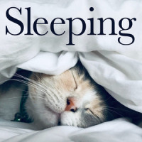 Dream 11 (whisper music)_Max Richter,Ben Russell,Clarice Jensen