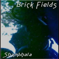 Another Day in Paradise_Brick Fields