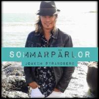 Hej hej sommar_Joakim Strandberg