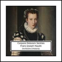 Sonata No. 4 in G Major, Hob. XVI:G1: 2. Minuetto_Orchestre d’Astarac,Franz Joseph Haydn