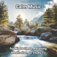 Deep Pictures_Deep Sleep,Relaxing Music,Yoga