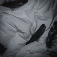 Victoria's Secret(Feat. BIGONE)(Prod. PATEKO)_Dive,BIGONE