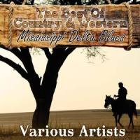 Chased Old Satan Through The Door_Memphis Minnie