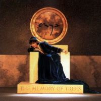 I May Not Awaken_Enya