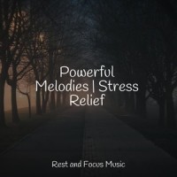 Peaceful Acceptance_Deep Sleep Relaxation,Wellness,Zarobi