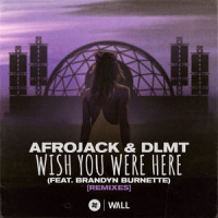 Wish You Were Here(feat. Brandyn Burnette)_Afrojack,DLMT,Brandyn Burnette