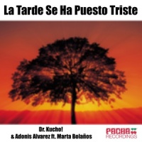 La Tarde Se Ha Puesto Triste_Dr. Kucho!,Adonis Alvarez