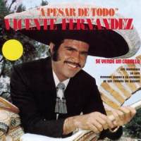 De Que Tamaño Me Quieres_Vicente Fernández