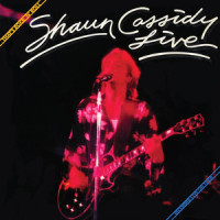 Bad Boy_Shaun Cassidy