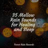 Thunder Rain_Pacific Rim Nature Sounds,Massagem Guru,Spa