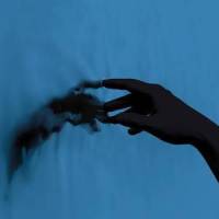 Crawl_TENDER