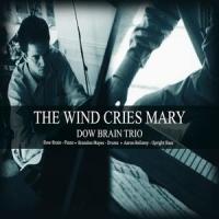The Wind Cries Mary_Dow Brain Trio,Jimi Hendrix