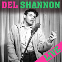 Keep Searchin'_Del Shannon