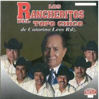 Flor de Amistad_Los Rancheritos Del Topo Chico